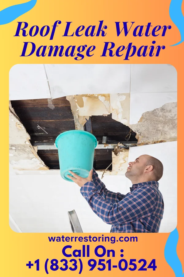 Roof Leak Water Damage Repair in Fort Shawnee, OH