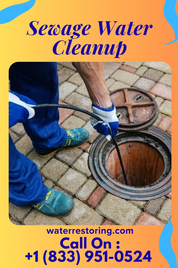 Sewage Water Cleanup in Fort Shawnee, OH