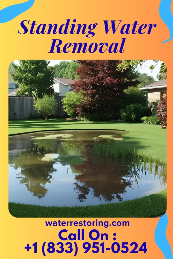 Standing Water Removal in Fort Shawnee, OH